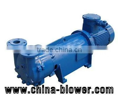 2BV2071 Water Ring Vacuum Pump photo-6