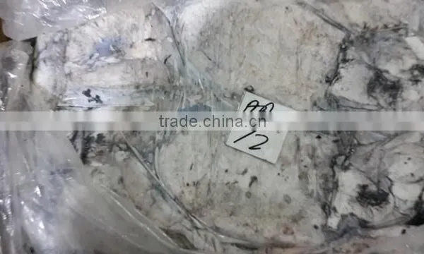 Frozen Cuttle Fish photo-4