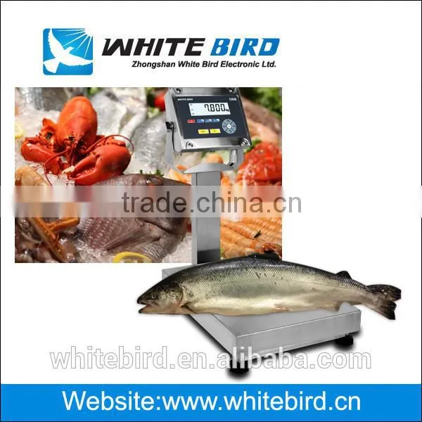 600kg Electronic Digital High Quality Stainless Steel SS Industrial Bench Scale photo-3