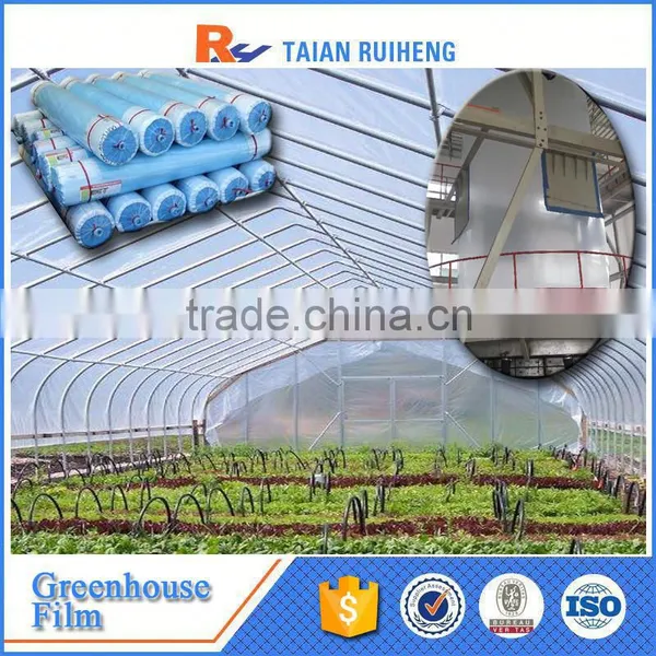 Cheap 6 Mil Greenhouse Poly, Poly Film for Greenhouse