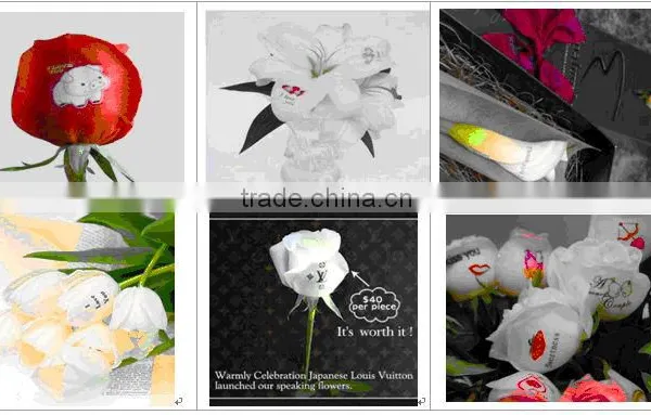 RGB White Lily Flower Printer photo-3