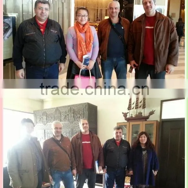 High Quality Stone Hammer Crusher,hammer Mill With ISO, CE, SGS Certificate photo-5
