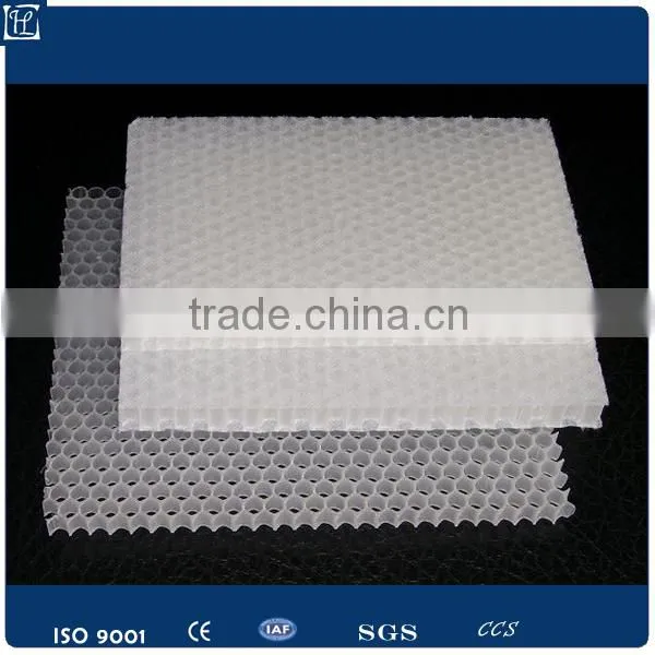 Polypropylene PP Plastic Honeycomb Sheet/ Board for Industy Packing photo-6