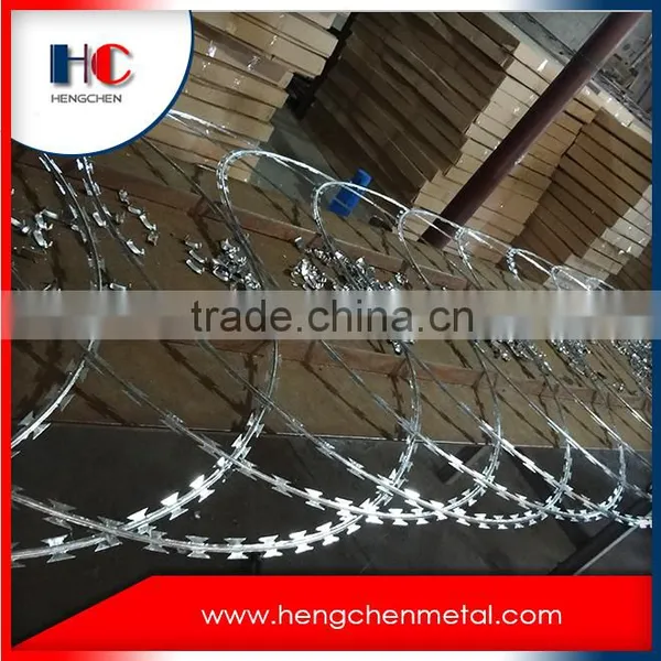 Hot Sale Concertina Razor Barb Wire photo-2