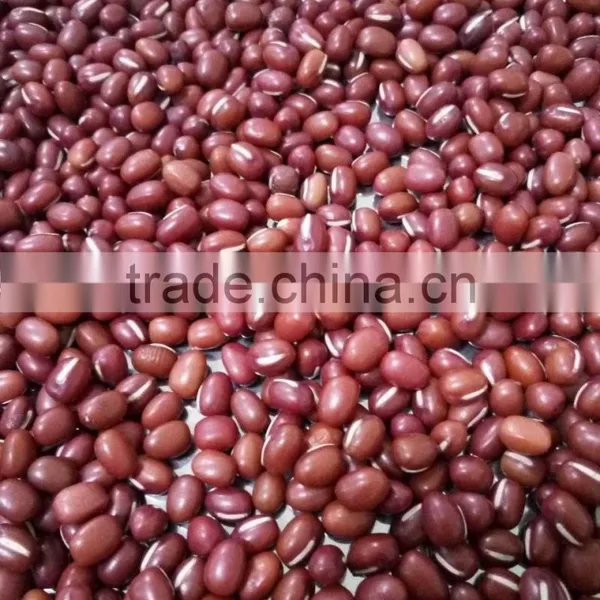 Cheap's Chinese New Crop Red Adzuki Beans photo-5