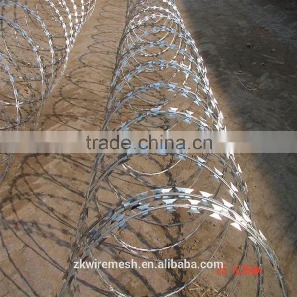 Hot Sale Good Price Razor Barbed Wire for Protection photo-4