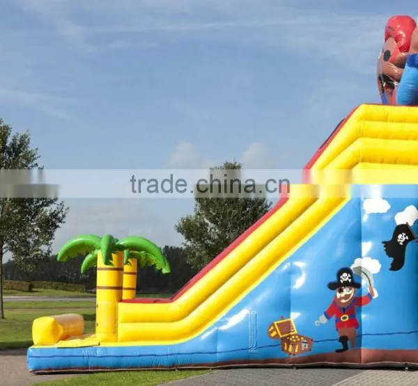Good Price Inflatable Slide on Selling, Professional Inflatables Factory in China photo-4