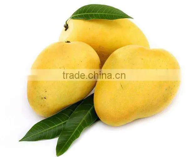 Mango Superior Quality photo-2