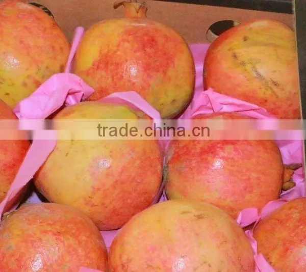 Packing / Color/Sizes/ Container of Fresh Pomegranates photo-4
