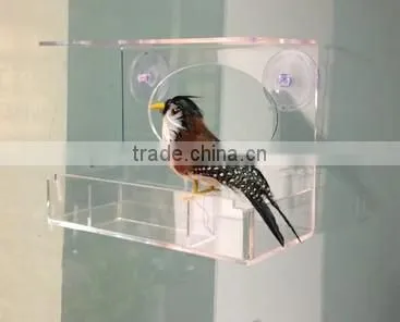 Bird Feeder