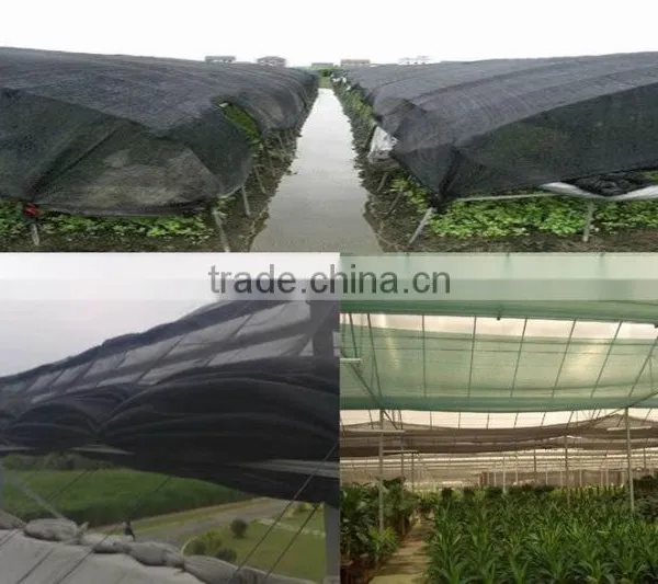 Agriculture Shade Net