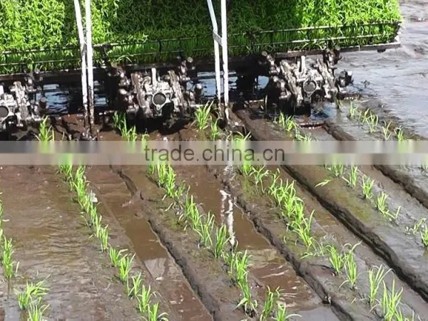 Launched New Upgraded Model High Quality Ride Rice Transplanter/rice Seeder photo-2