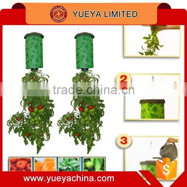 Tv Hot Sale Household Topsy-Turvy Plants Bonsai photo-5