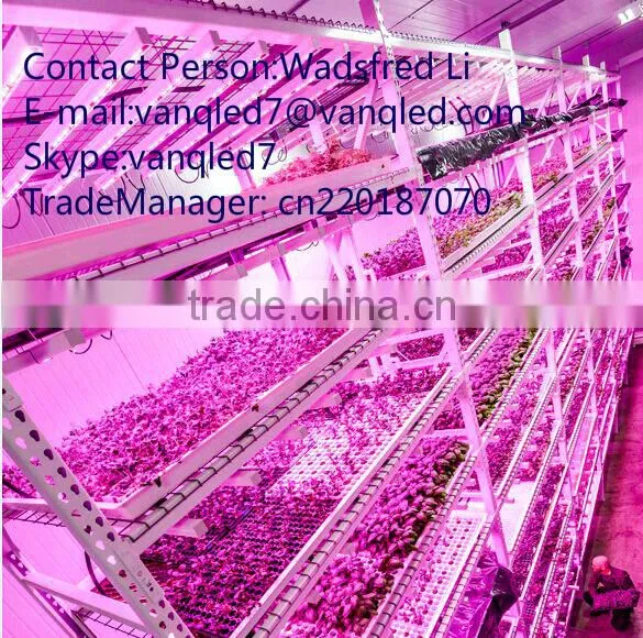 36W LED Grow Bar Light High Par Full Spectrum Chip photo-2