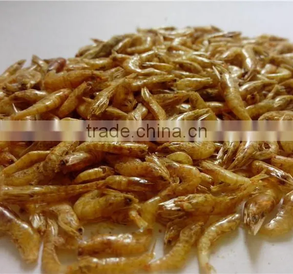 Import China Products Dried Shrimps ;Wholesale Dried Shrimps photo-2