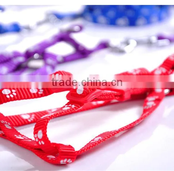 Pet Supplies Nylon Traction Rope Schnauzer Dog Toy Wholesale photo-4
