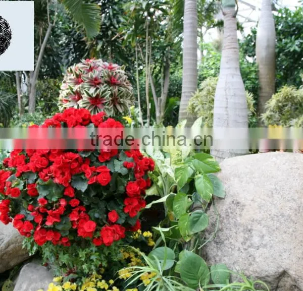 Plastic Flower Pot for Home Garden Decoration photo-3
