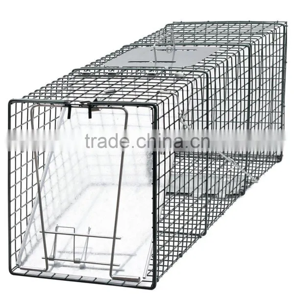 Live Animal Trap