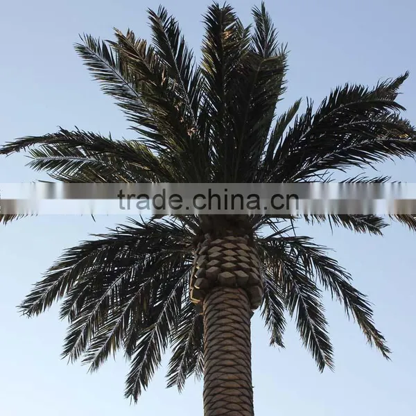 GNW APM012-4 Fake 5m High Artificial Palm Tree for Decorations photo-2