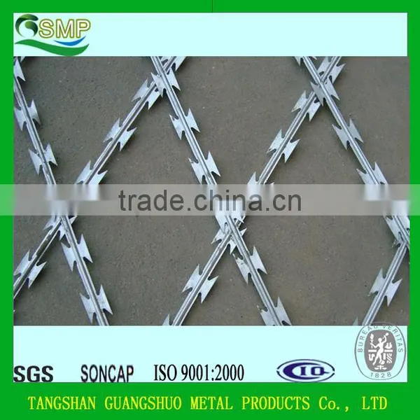 Umbrella Head Roofing Nails, Hot Sale Galvanized Roofing Nails photo-5