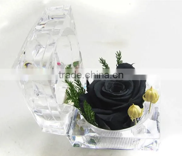 Fashionable And Natural Real Rose Preserved Flowers Wholesale With Acrylic Ring Box Decoration photo-4