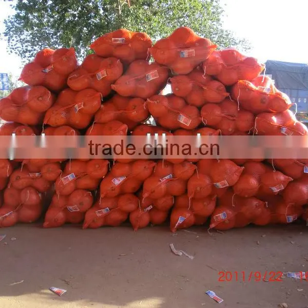 Onion PP Leno Mesh Bags, Plastic Bags for Vegetables photo-4