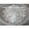 White Freshwater Mother of Pearl Shell Tiles/White Shell Chandelier photo-2
