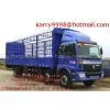 Store-stake Truck (BJ5243VMCGP-1)