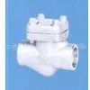 Check Valve