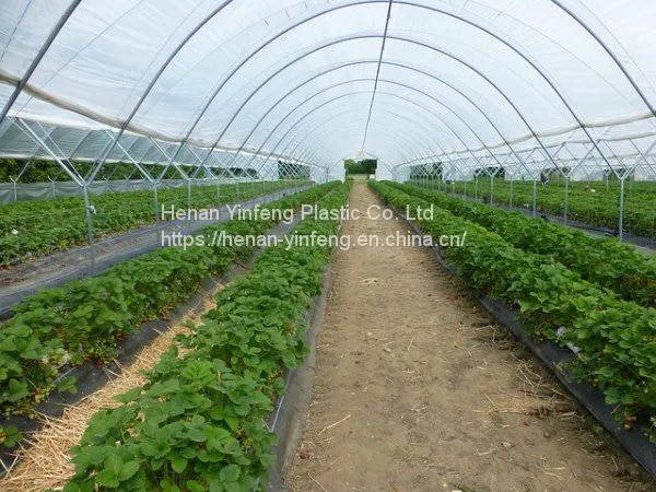 Plastic Greenhouse Cover photo-2