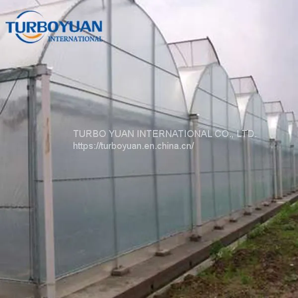 Polyethylene / Eva Cover Greenhouse Clear Plastic Film in Malaysia photo-5