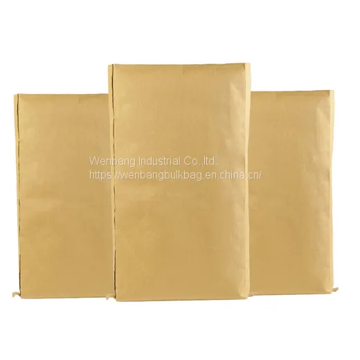 Paper-poly Bag