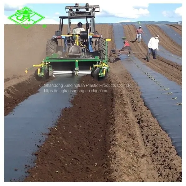 Black Agriculture pe Plastic Agricultural Film Barrier Mulching Sheet