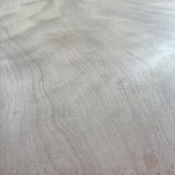 22mm Full Eucalyptus Continuous Core Ultra-Flat Grade AA/AB Multi-Layer Plywood