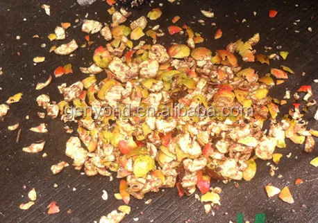 Pomegranate Seeds Peeling Machine/pomegranate Processing Machine photo-4