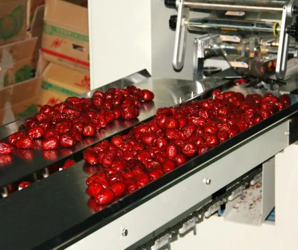 Dates Syrup Making Machine/Dates Molasses Making Machine photo-4