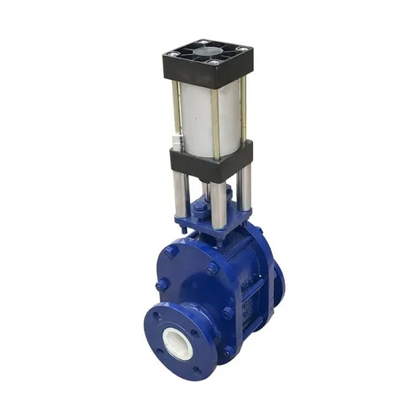 High Quality Double Plate Gate Valve From the Factory photo-3