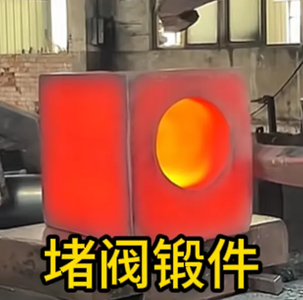 Isolation Valve Body Open-Die Forgings, Custom Forged Block Valve Bodies for Power Station, Professional Forging Manufacturer