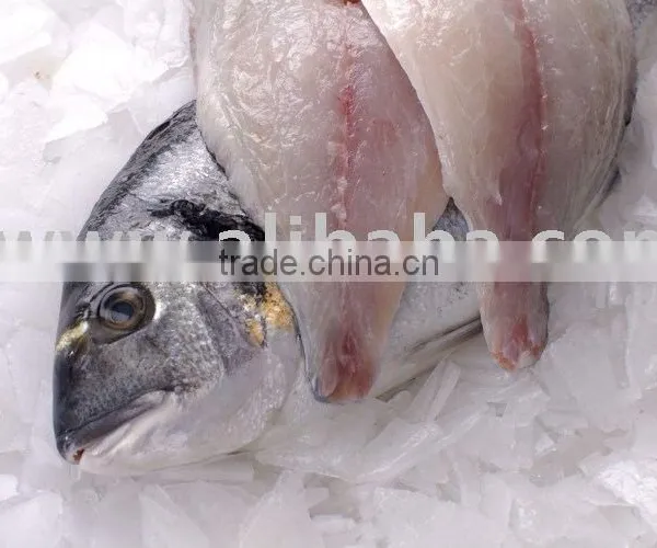SEA BREAM FILLET