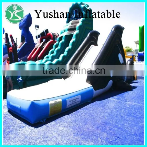 Adult Used Giant Inflatable Water Sports photo-6