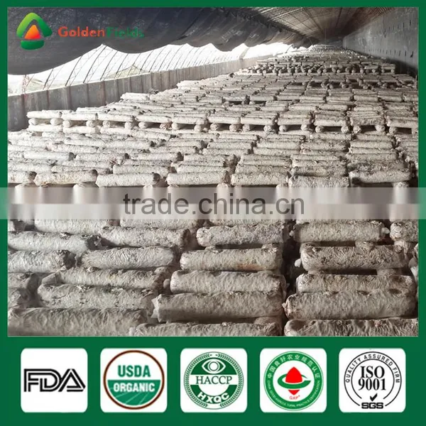 Shiitake Farm,Shiitake Growing Log/Kit,Shiitake Mushroom Log/kit photo-6