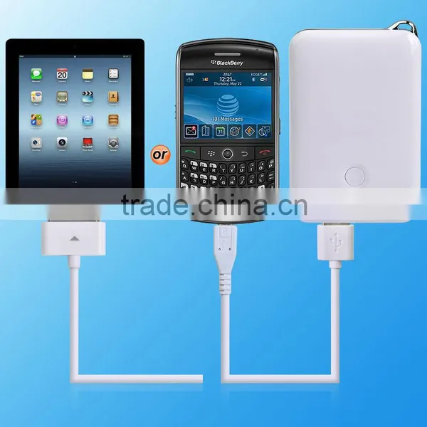2500mah Usb Port Power Bank for Mobie Phone photo-2