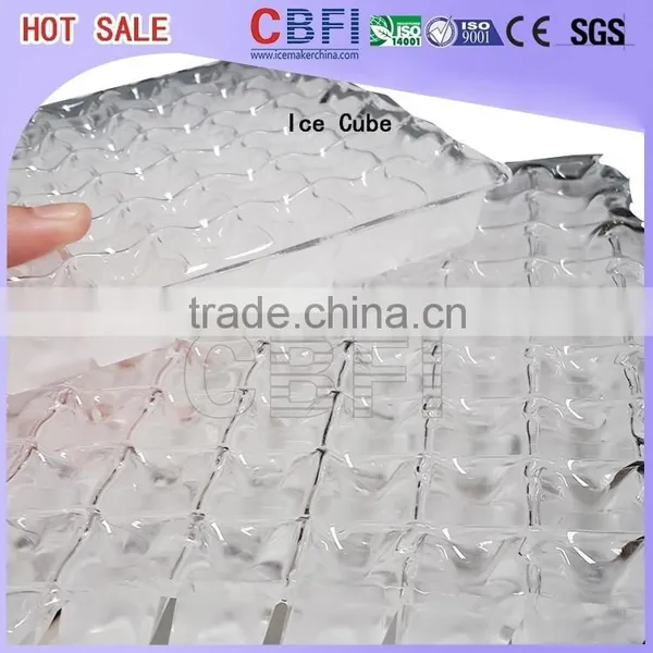 Guangzhou CBFI Cube Ice Machine 5 MT in 24 Hrs Deliver to Cebu, Philippines photo-3