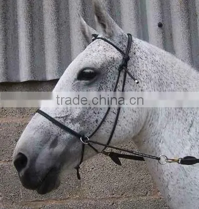 Rope for horse Halters, & Training leads