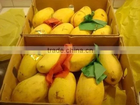 Fresh Yellow Mangoes