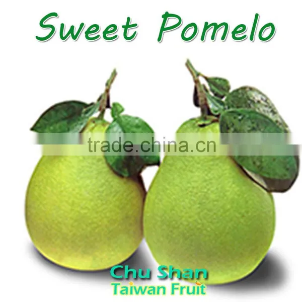 2016 Hot Sale Fresh Pomelo
