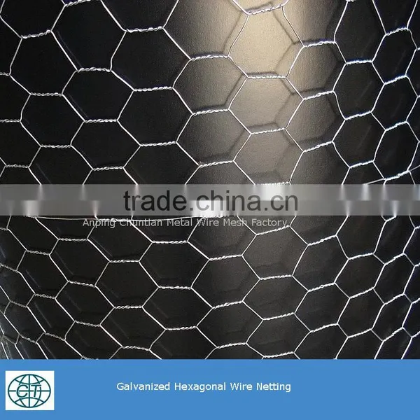 Lowest Price Hexagonal Chicken Wire Mesh for Chicken Fence and Poultry Cage photo-3