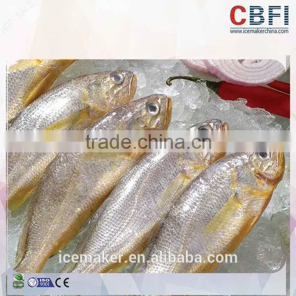 CBFI Convenient Flake Ice Machine Maker For Shopping Mall photo-6