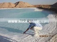 Sodium Chloride 98% NACL in Bulk for Melting Snow 2016/2017 (sgs Certificate) photo-6