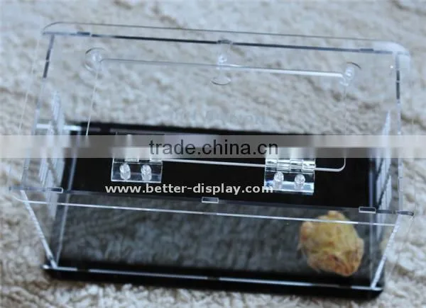 Custom Acrylic Clear Plastic Terrarium photo-3